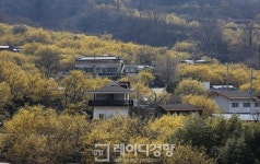 [길 위의 독서]전남 구례&경남 하동 섬진화서(蟾津花序)