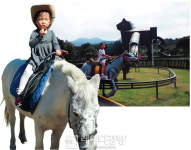 [징징이 송희영의 행복한 제주살이]봄날의 제주 만끽하기