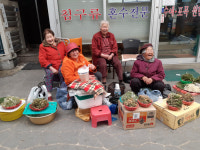 관광도 하고 시장도 보고···드라이브 스루 ‘일석이조’
