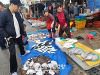 [시장 가는 레이디] 싱싱한 해산물이 펄떡···‘삼척번개시장’의 5월은 맛있다