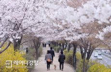 [주말&]주민들의 애착길, 안양천 지나 커피 한 잔 코스