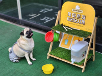 목마른 개도 카페로 오시개 감성커피, 강아지 약수터 운영