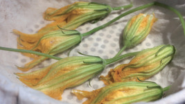 아침이슬이 내리기 전에 호박꽃 만두[만두는 옳다⑪]