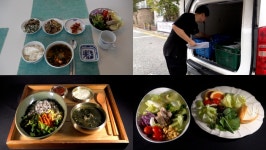 유정란·아침밥·식물…정기 구독 합니다