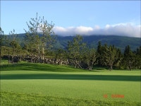 신성한 골프장 탄생, 한라산 CC