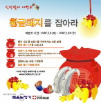 복음보청기  “황금돼지를 잡아라~”