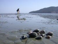 새만금 갯벌과 바다에, 어민의 삶에 생명평화를!