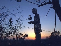 대추리 어머니 가슴에서 핀 카네이션