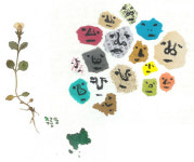 들꽃들이 터득한 삶의 지혜