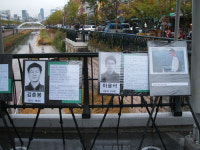 “더 이상 죽이지 마라”