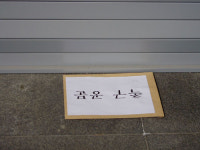 광주 명예 지키려 짐승처럼 끌어 냈는가