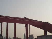 SK유조차량노동자들 부산대교 아치 위 고공 농성 중