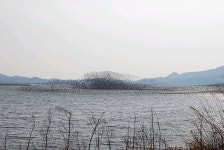 금강의 흐름은 평화의 흐름