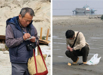 일본 학자들과 함께 한 새만금갯벌 답사
