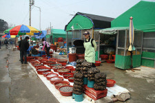 일본 학자들과 함께 한 새만금갯벌 답사