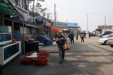 일본 학자들과 함께 한 새만금갯벌 답사