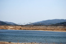 제자리에서 살아가게 두어라