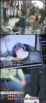 SOS `기막힌 동거` 시청자들 이럴수가 경악