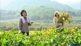 `산너머 남촌에는`, 농촌 아닌 전원드라마