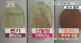 `변기`보다 도마에 세균이 더 `득실득실`
