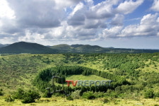 [강작가의 뻔&펀한 여행] 제주도 아부오름