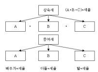 증여와 상속의 숨은 세테크 노하우