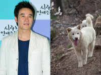 애견가 엄태웅 우리 백통이를 찾습니다 트윗글 눈길