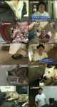 ‘동물농장’ 집 안에 사는 늑대개 남매 ‘담이와 홍이’