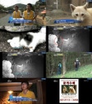 동물농장 토끼 습격 알비노 라쿤 미키 공개수배