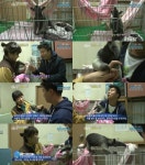 동물농장 개미핥기 삼백이, 국내최초 인공포유 귀여워