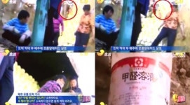 中 발암물질 배추 다량 발견 '충격'..우리나라 영향 미칠까?