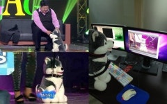 유민상 편집에도 관여하는 브라우니 폭소