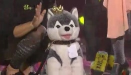 정여사 브라우니 효과, 개콘 코너 시청률 26.6% 1위