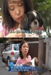 동물농장 실명한 개와 쌍둥이자매의 훈훈한 우정