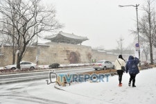 [T포토 l 폭설] 온 세상이 하얗게 물들었네
