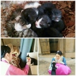 박진희, 고양이 분양 권유 구암허준 촬영장으로 오세요