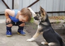 아이 칭찬하는 개, 뒤바뀐 상황? ‘차원이 다른 쓰담쓰담’