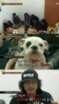 우리집 막둥이 장미여관, 애견 봉식이 위한 테마송 작곡 히트예감!