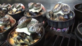 어디까지 먹어봤니?…VJ특공대, 전복 뚝배기·쪽갈비 등 단일메뉴 맛집 소개