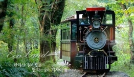 [발도장] 자연과 함께하는 기차여행…제주 에코랜드