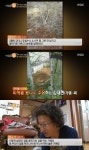 리얼스토리 눈 전원주택 지으려 산 땅이 농로? 땅주인도 속았다