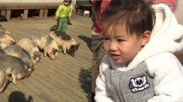 ‘오마베’ 리키김子 태오, 거침없는 돼지 매력에 ‘푹’