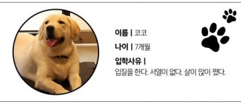 코코와 함께 강아지 유치원 수업을 들었다