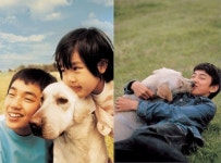 잊지말아주세요…유승호·송중기 마음이 연기견 달이, 22일 사망