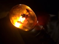 [할리웃통신] 쥬라기 월드2 단서…호박 속 모기가 또?