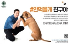 “식용견은 없어요”…다니엘 헤니, 애견 사랑 ★ 면모