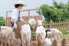 “문어·닭 잡았다” ‘삼시세끼’ 에릭X한지민, 보양식 해신탕 도전