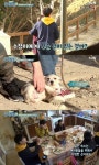 둥지탈출2 김수정, 동물 못 만져 알러지 울상
