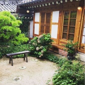 임수정 