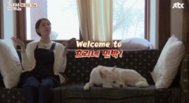 봄 영업 시작 효리네민박2, 시청률 소폭 상승